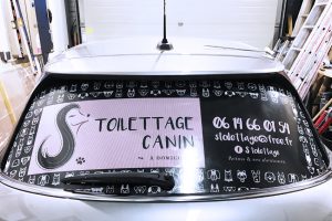marquage véhicule voiture toilettage canin communicaton covering